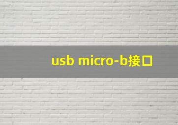 usb micro-b接口